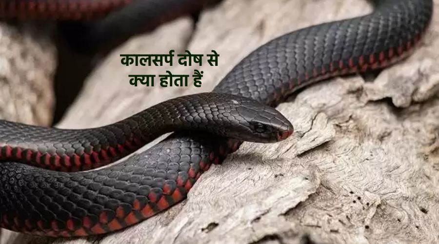 Kaal Sarp Dosh se kya hota hai