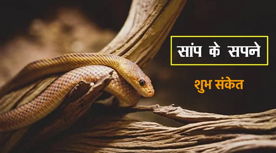 Sapne me dikhai dene wale shubh sanket