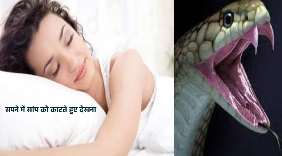 Sapane me saanp ko katate hue dekhana