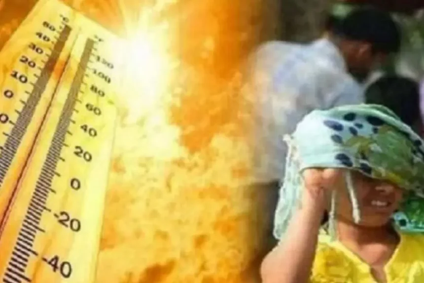 bhishan garmi ke karan ho rahi hai logon ki mautein