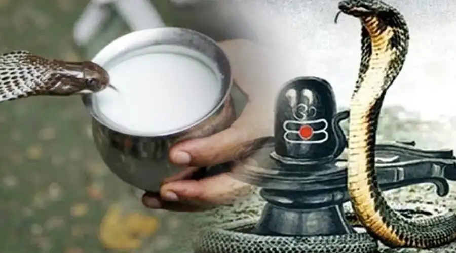 naag panchami kaise manai jati hain