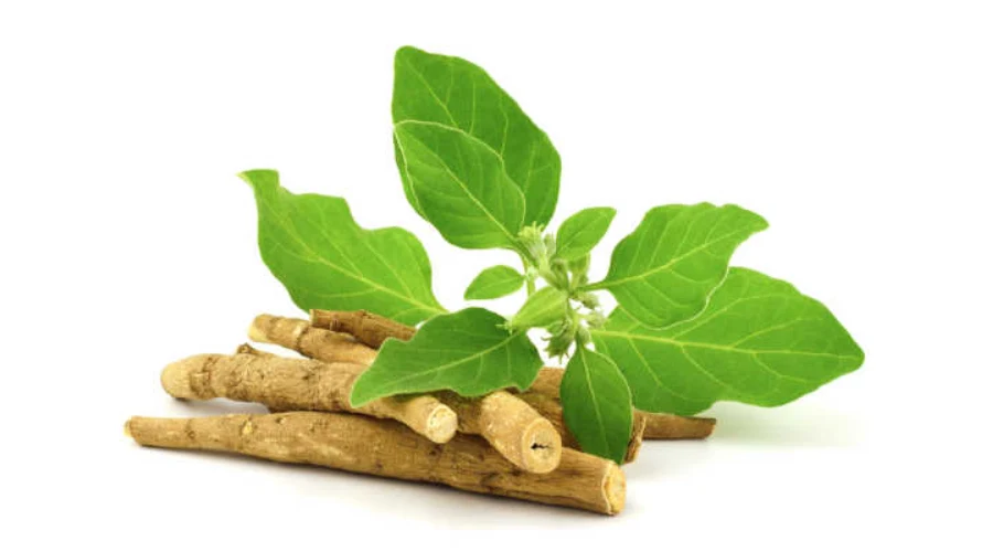yaun shakti badhane ke liye ayurvedic mukhya jadi-buti