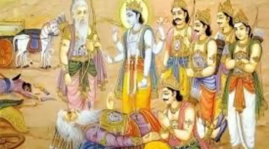 bhisham pitamah ki mahabharat mein bhumika