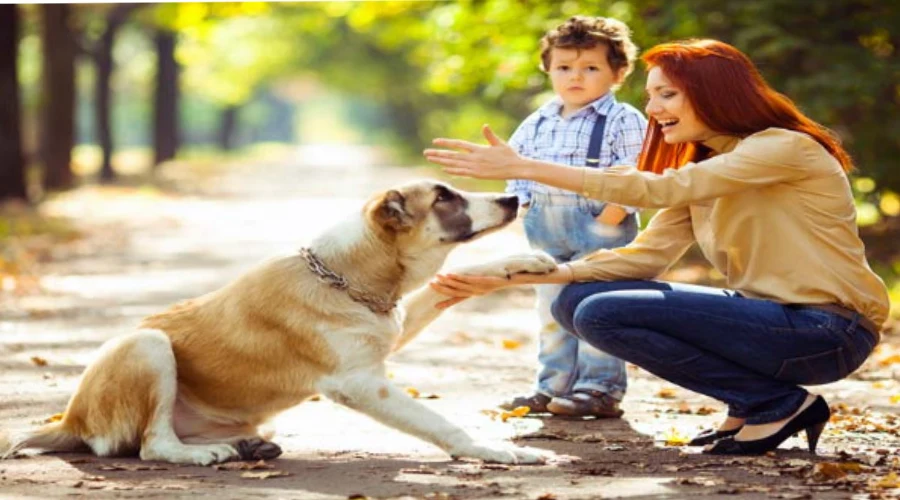 Sapne mein bura kutta dekhne ka ashubh sanket