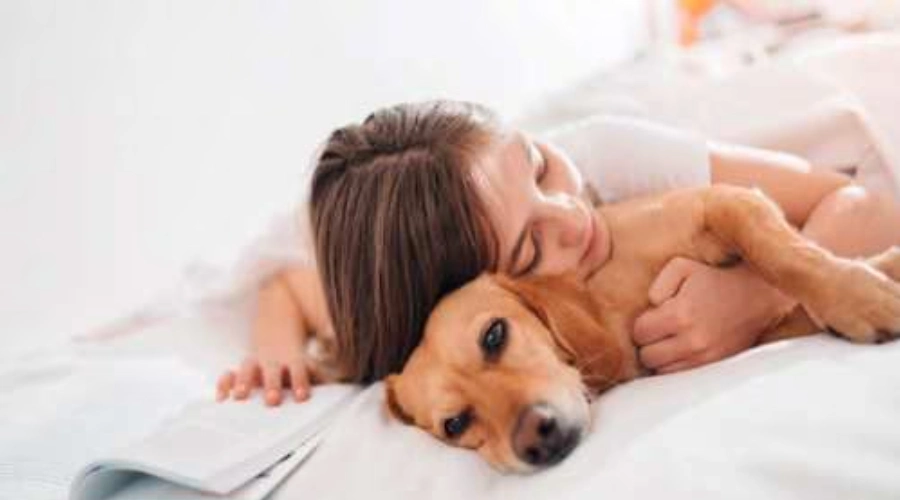 Sapne mein bura kutta dekhne ka shubh sanket