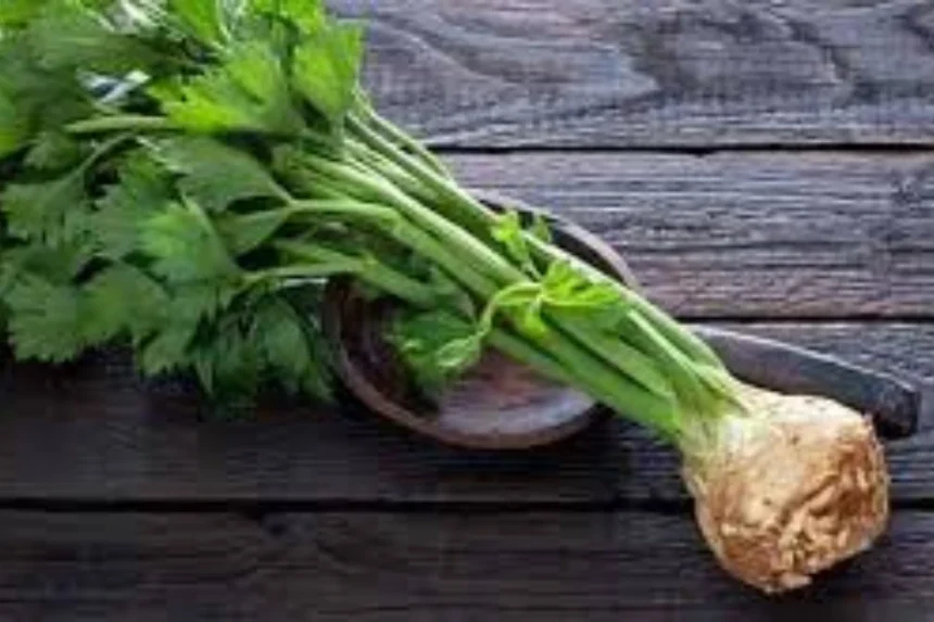 celery pachan sudharane aur immunity badhane ka superfood