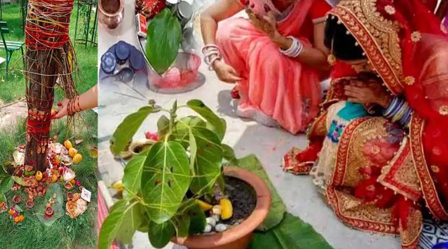 Vat Savitri Vrat kyon rakha jata hain