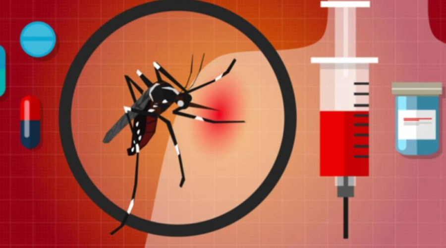 Dengue se bachav ke Allopathic upchar