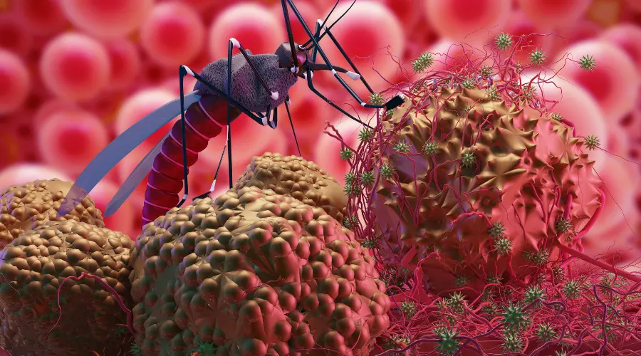 Malaria ke prakar