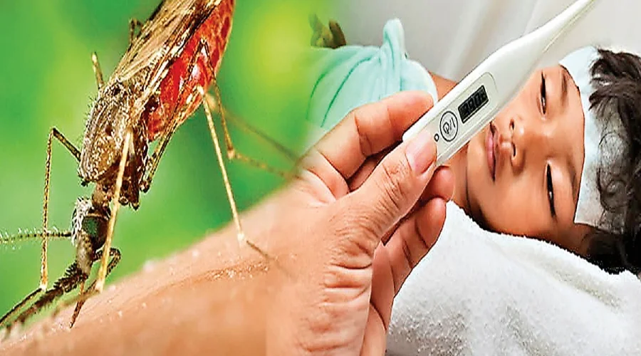 Malaria ki bimari ke Allopathic upchar