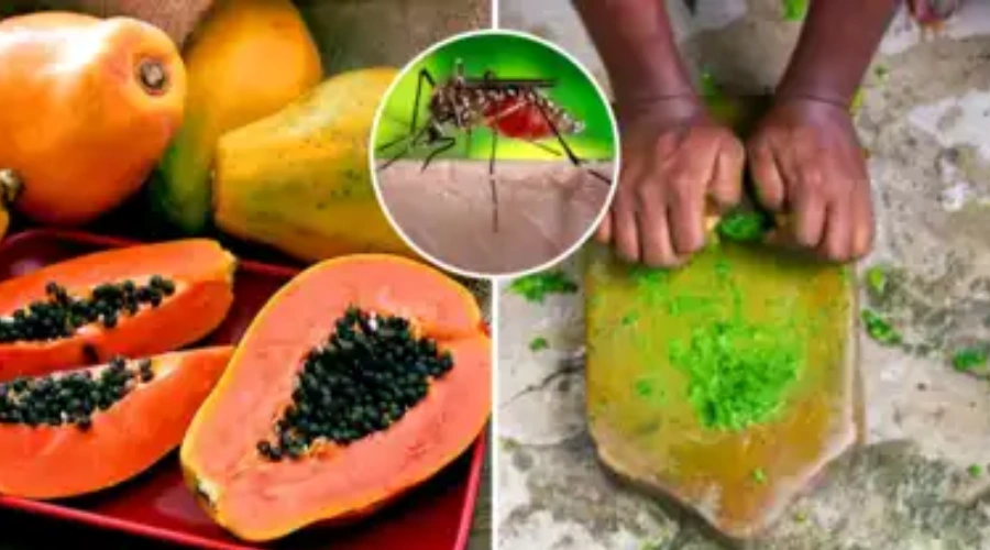Malaria ki bimari ke gharelu upay