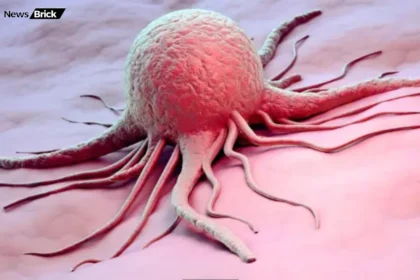 cancer se ladne mein madadgar desi upay