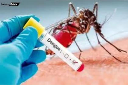 ghar par apanaen ye upay dengue se rahen surakshit