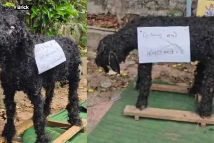 mitti ke bakre banakar di pratikatmak qurbani