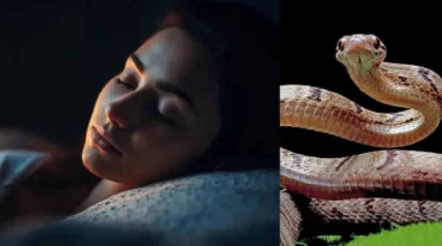 Sapne mein saanp ko marte hue dekhne ka karan