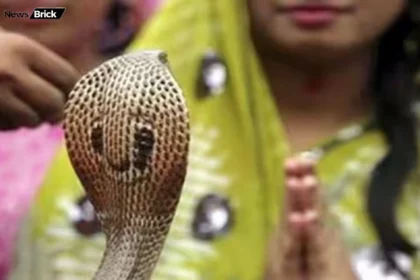 sapne mein saanp ko marte dekhna safalta ya sanket