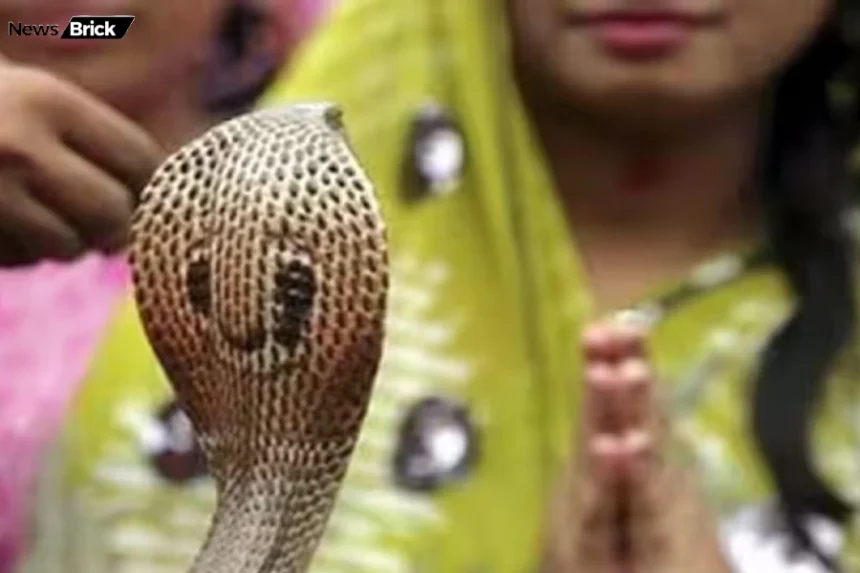 sapne mein saanp ko marte dekhna safalta ya sanket