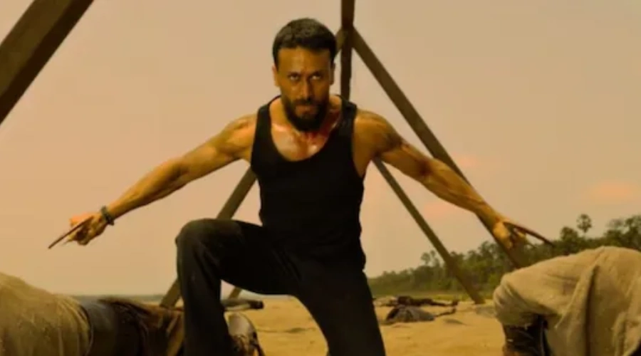 Baghi 4 mein dikha south film ka rang