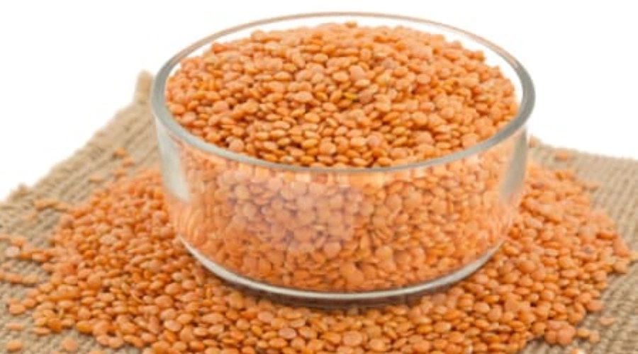 Masoor dal ka upyog