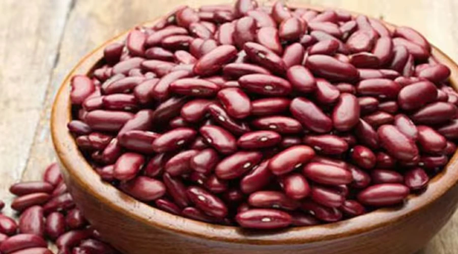 Rajma ka upyog