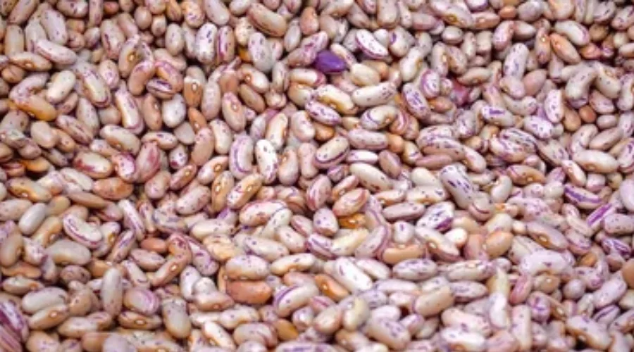 Rajma ke nuksan