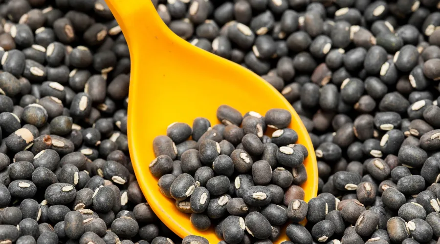 Urad dal ka upyog