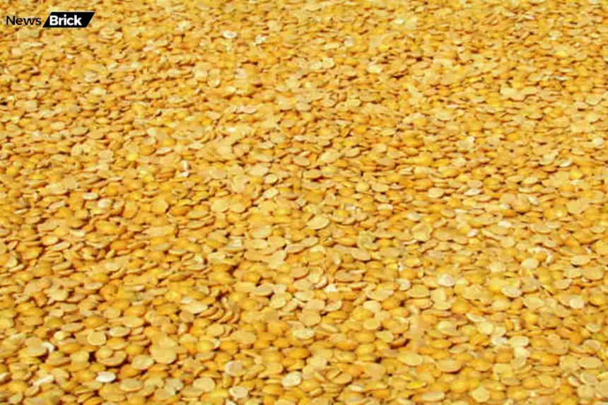 arhar dal swasthya labh sambhavit nuksan