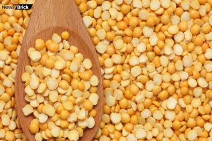 chana dal poshak tatva fayde nuksan