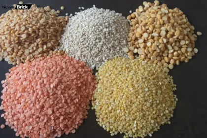 dal khane labh sambhavit nuksan