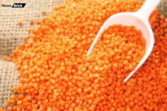 masoor dal sehatmand hone sath judi sawdhaniyan