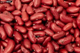 rajma sehat khazana nuksan karan