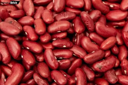 rajma sehat khazana nuksan karan