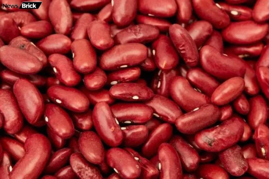rajma sehat khazana nuksan karan