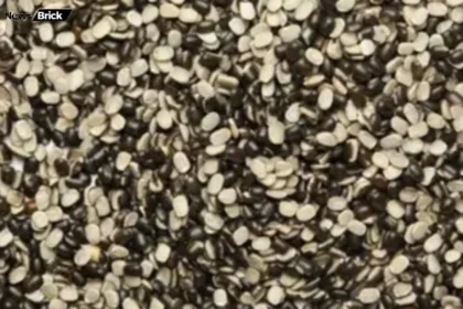 urad dal poshan fayde nuksan
