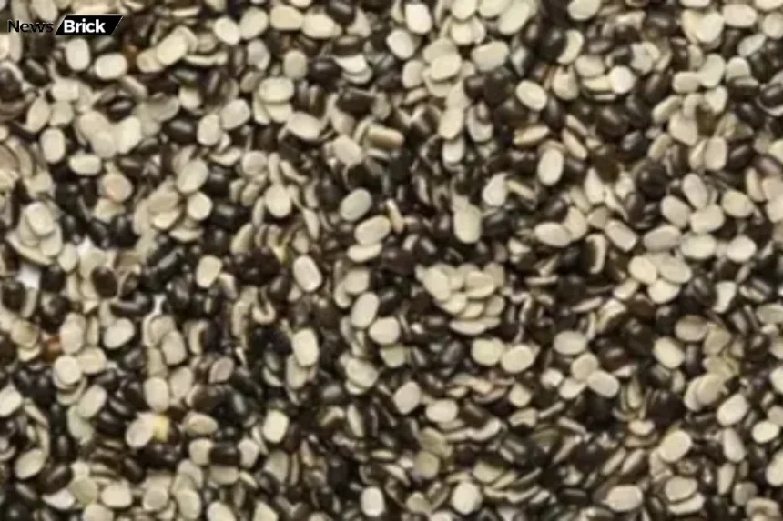 urad dal poshan fayde nuksan