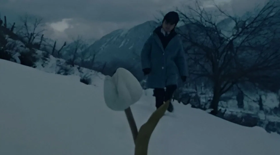 Kashmir par aadharit baki Film se alag